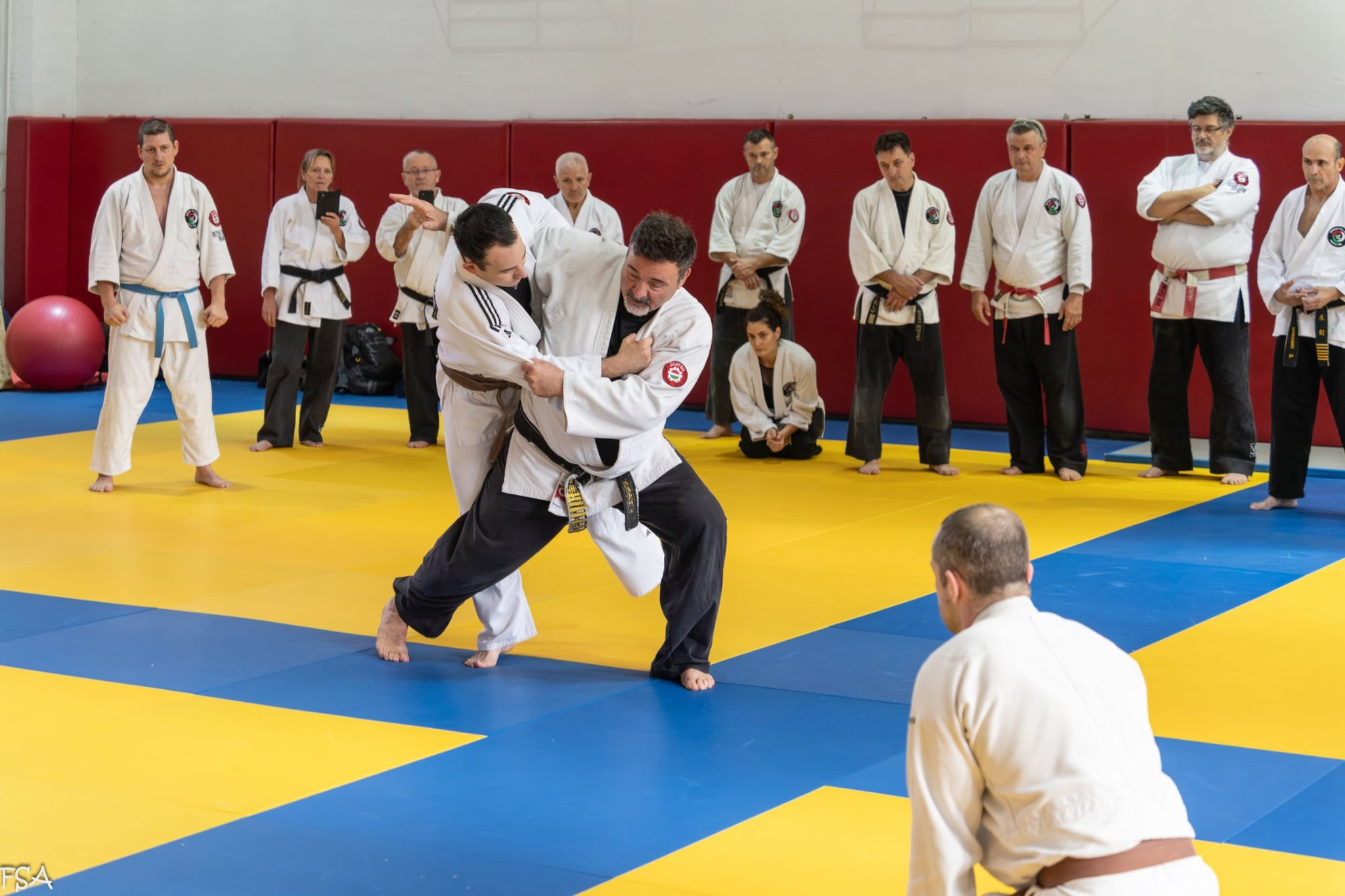 7e9339d7 b780 4114 b922 872668d98287