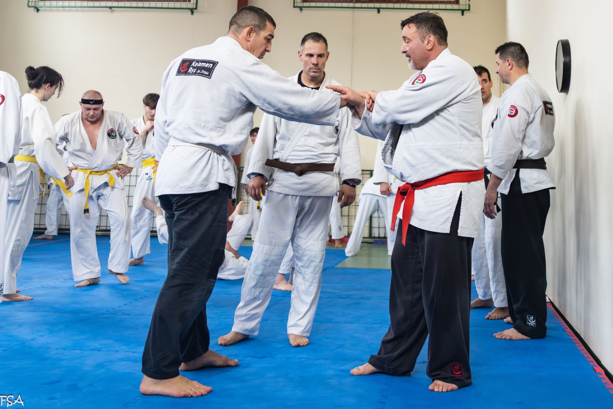 447921ca bcb9 4a86 b216 1fb40dffedd6