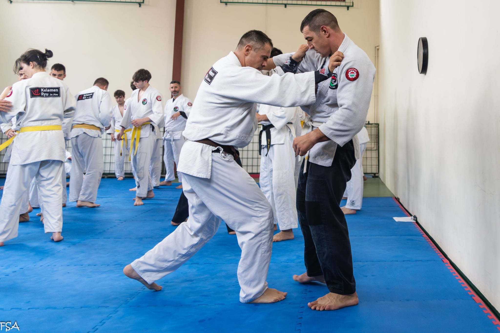 a33bd2e2 79a0 42bd aa82 fd81b999e788