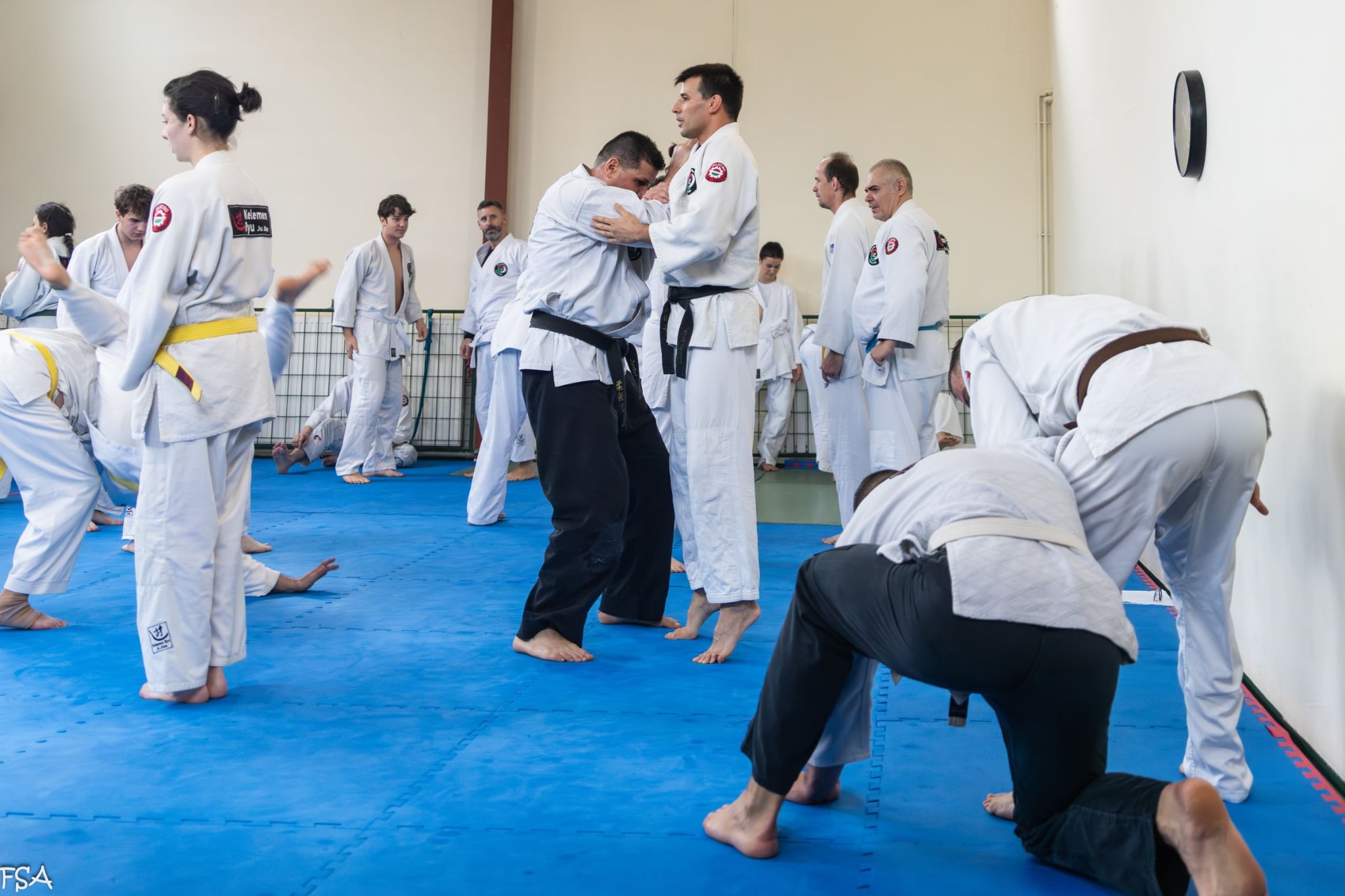 c919cd9c e869 479a 8cf1 ca1c029fb9b9