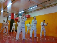 2013-04-19 Vizsga a K&ouml;zponti Dojoban&hellip;